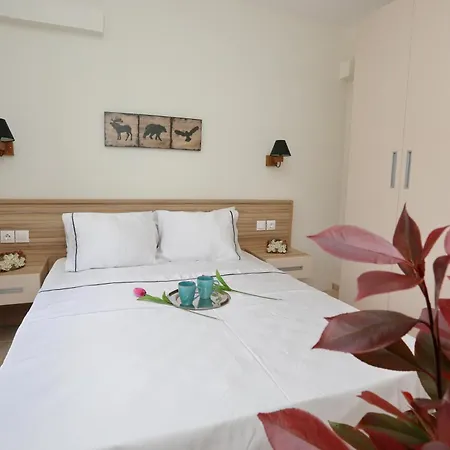Appartement Modern In The Heart Of