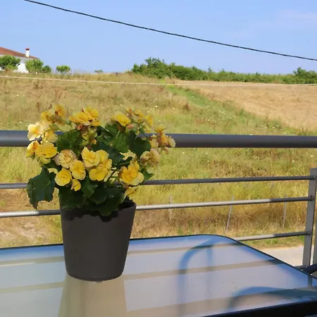 Modern In The Heart Of Appartement *